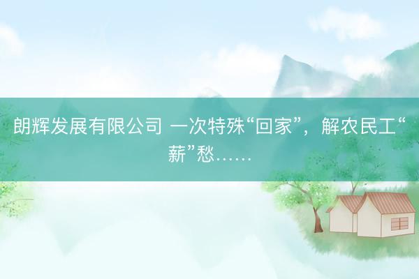 朗辉发展有限公司 一次特殊“回家”，解农民工“薪”愁……