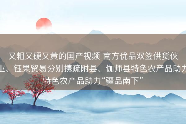 又粗又硬又黄的国产视频 南方优品双签供货伙伴！华沁农业、钰果贸易分别携疏附县、伽师县特色农产品助力“疆品南下”