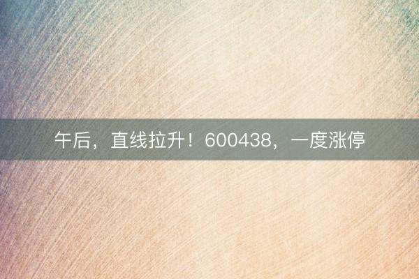 午后，直线拉升！600438，一度涨停