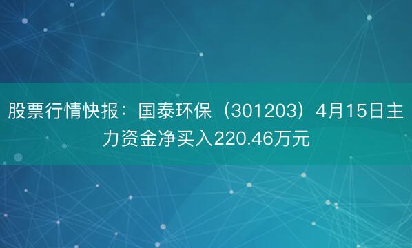 股票行情快报：国泰环保（301203）4月15日主力资金净买入220.46万元