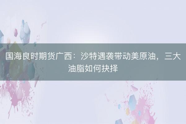 国海良时期货广西：沙特遇袭带动美原油，三大油脂如何抉择