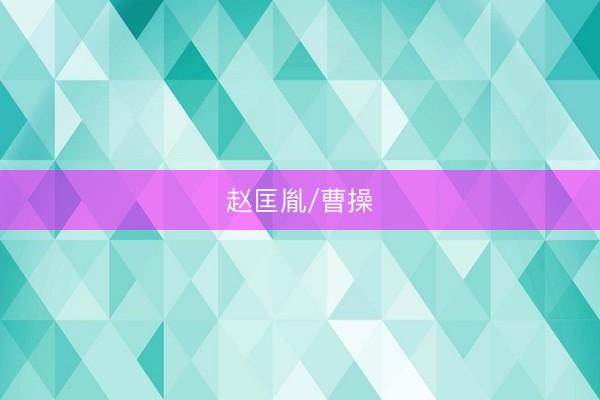赵匡胤/曹操