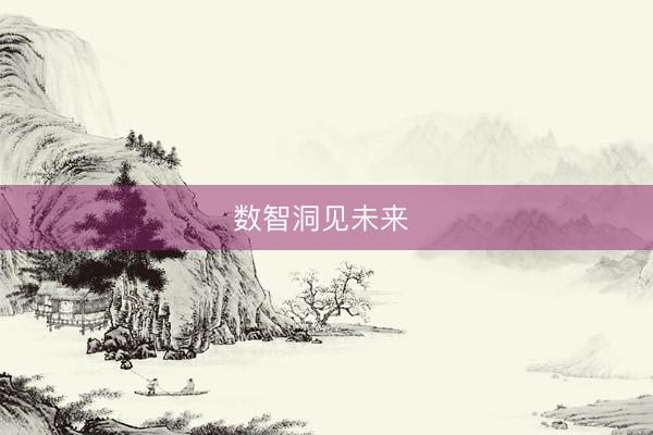 数智洞见未来 