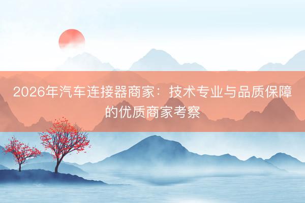 2026年汽车连接器商家：技术专业与品质保障的优质商家考察