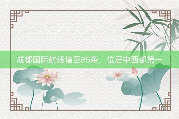 成都国际航线增至85条，位居中西部第一