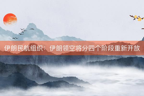 伊朗民航组织：伊朗领空将分四个阶段重新开放