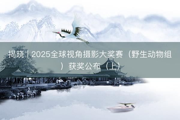 揭晓 | 2025全球视角摄影大奖赛（野生动物组）获奖公布（上）