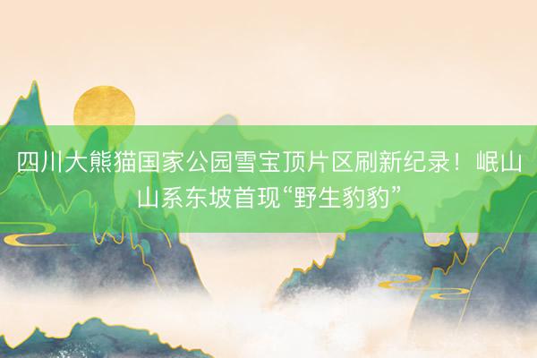 四川大熊猫国家公园雪宝顶片区刷新纪录！岷山山系东坡首现“野生豹豹”