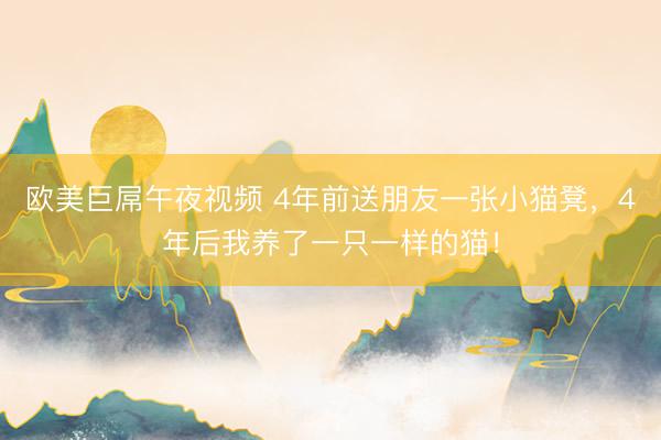 欧美巨屌午夜视频 4年前送朋友一张小猫凳，4年后我养了一只一样的猫！