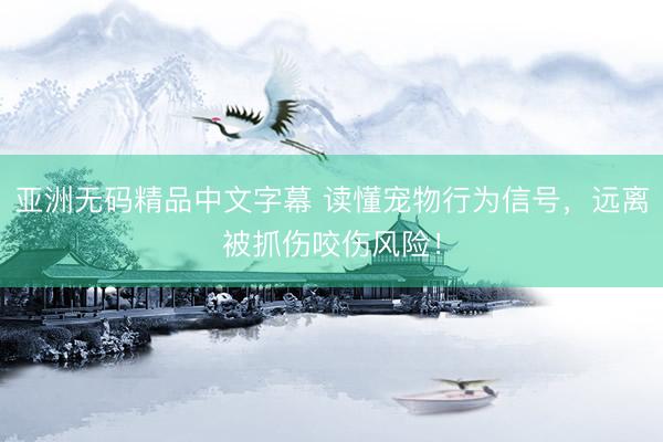 亚洲无码精品中文字幕 读懂宠物行为信号，远离被抓伤咬伤风险！