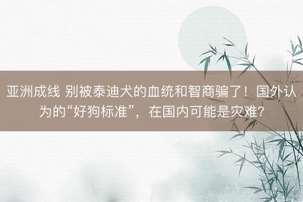 亚洲成线 别被泰迪犬的血统和智商骗了！国外认为的“好狗标准”，在国内可能是灾难？