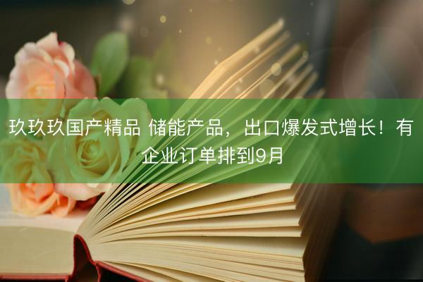 玖玖玖国产精品 储能产品，出口爆发式增长！有企业订单排到9月