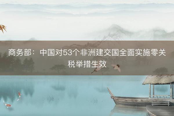 商务部：中国对53个非洲建交国全面实施零关税举措生效