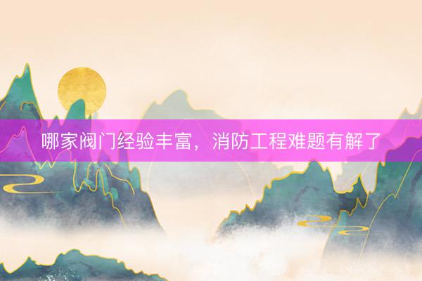 哪家阀门经验丰富,消防工程难题有解了