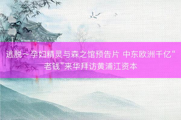 逃脱～孕妇精灵与森之馆预告片 中东欧洲千亿“老钱”来华拜访黄浦江资本