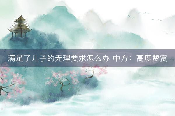 满足了儿子的无理要求怎么办 中方：高度赞赏