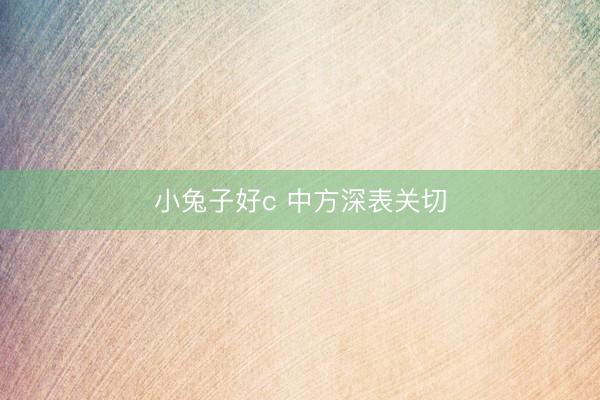 小兔子好c 中方深表关切