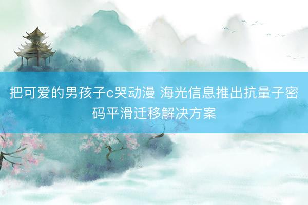 把可爱的男孩子c哭动漫 海光信息推出抗量子密码平滑迁移解决方案