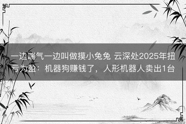 一边喘气一边叫做摸小兔兔 云深处2025年扭亏为盈：机器狗赚钱了，人形机器人卖出1台
