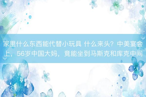 家里什么东西能代替小玩具 什么来头？中美宴会上，56岁中国大妈，竟能坐到马斯克和库克中间