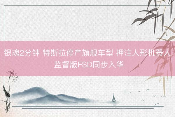 银魂2分钟 特斯拉停产旗舰车型 押注人形机器人 监督版FSD同步入华