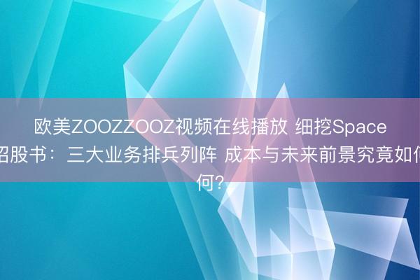 欧美ZOOZZOOZ视频在线播放 细挖SpaceX招股书：三大业务排兵列阵 成本与未来前景究竟如何？