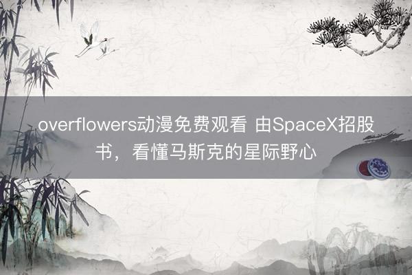 overflowers动漫免费观看 由SpaceX招股书，看懂马斯克的星际野心