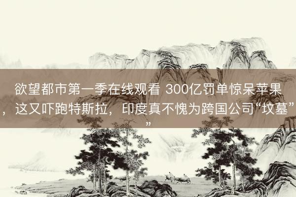 欲望都市第一季在线观看 300亿罚单惊呆苹果，这又吓跑特斯拉，印度真不愧为跨国公司“坟墓”