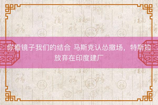 你看镜子我们的结合 马斯克认怂撤场，特斯拉放弃在印度建厂