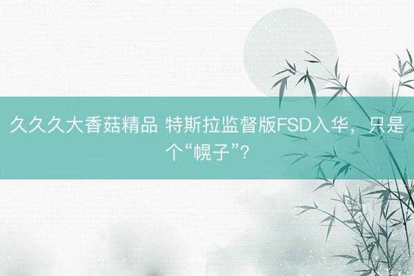 久久久大香菇精品 特斯拉监督版FSD入华，只是个“幌子”？