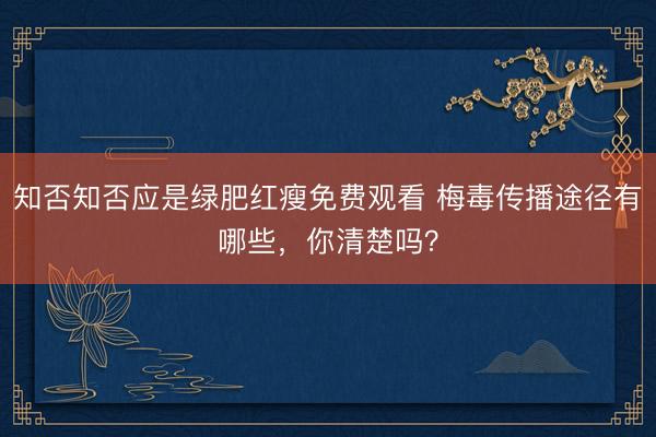 知否知否应是绿肥红瘦免费观看 梅毒传播途径有哪些，你清楚吗？