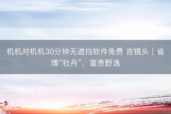 机机对机机30分钟无遮挡软件免费 吉镜头｜省博“牡丹”，富贵野逸