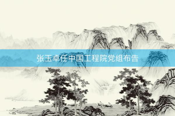 张玉卓任中国工程院党组布告