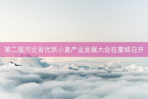 第二届河北省优质小麦产业发展大会在藁城召开