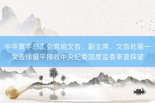 中华寰宇总工会党组文告、副主席、文告处第一文告徐留平接收中央纪委国度监委审查探望