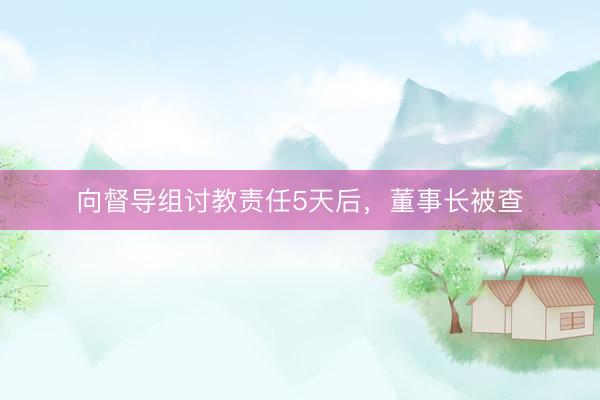 向督导组讨教责任5天后，董事长被查