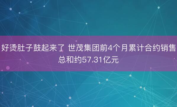 好烫肚子鼓起来了 世茂集团前4个月累计合约销售总和约57.31亿元