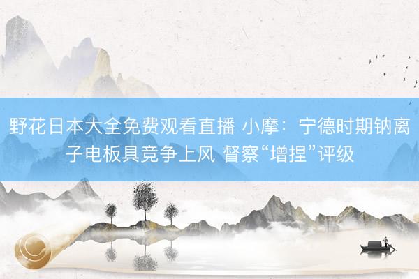 野花日本大全免费观看直播 小摩：宁德时期钠离子电板具竞争上风 督察“增捏”评级