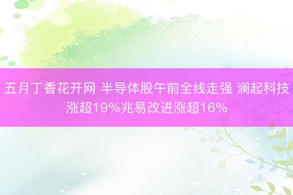 五月丁香花开网 半导体股午前全线走强 澜起科技涨超19%兆易改进涨超16%