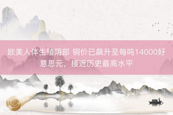 欧美人体生殖阴部 铜价已飙升至每吨14000好意思元，接近历史最高水平