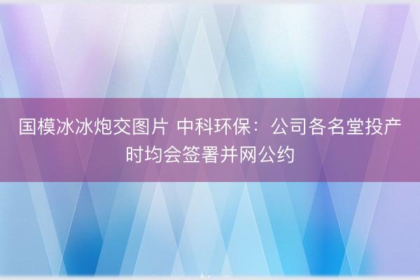 国模冰冰炮交图片 中科环保:公司各名堂投产时均会签署并网公约