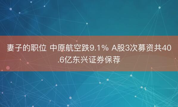 妻子的职位 中原航空跌9.1% A股3次募资共40.6亿东兴证券保荐