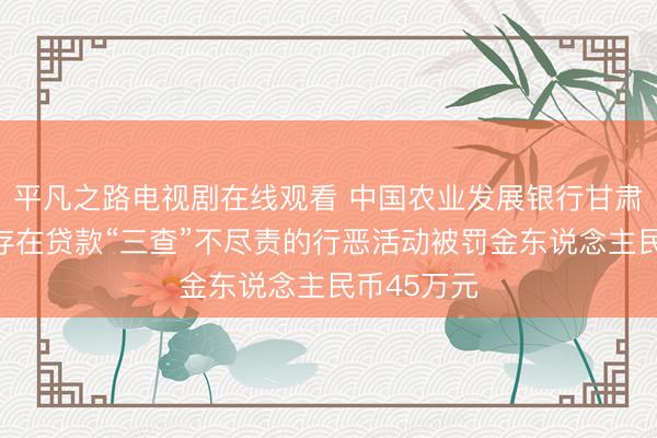 平凡之路电视剧在线观看 中国农业发展银行甘肃省分行因存在贷款“三查”不尽责的行恶活动被罚金东说念主民币45万元