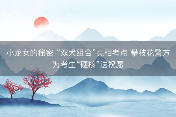 小龙女的秘密 “双犬组合”亮相考点 攀枝花警方为考生“硬核”送祝愿