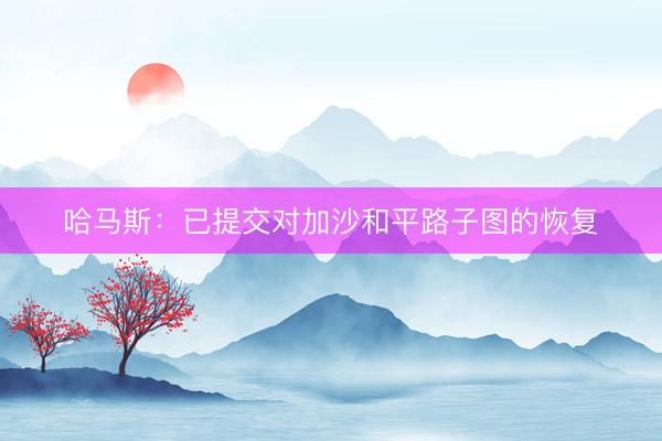 哈马斯：已提交对加沙和平路子图的恢复