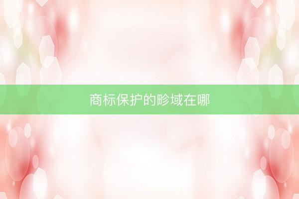 商标保护的畛域在哪