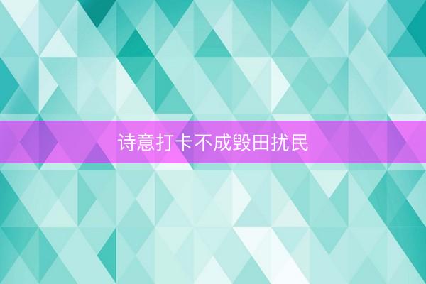 诗意打卡不成毁田扰民