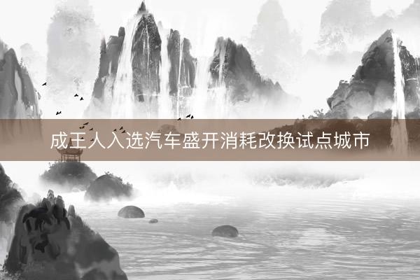 成王人入选汽车盛开消耗改换试点城市